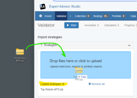 https://image-holder.forexsb.com/store/eas-import-zip-file-thumb.png